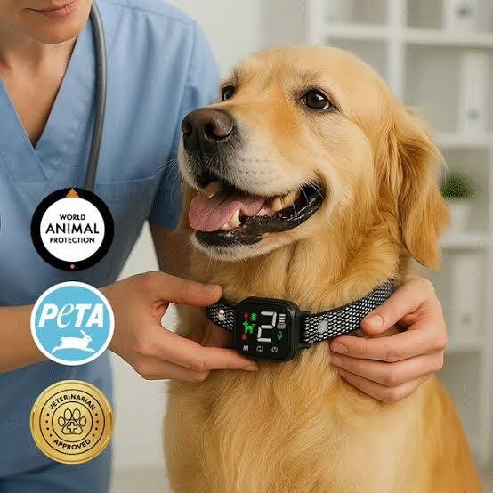 NooBark Anti-Bark Collar
